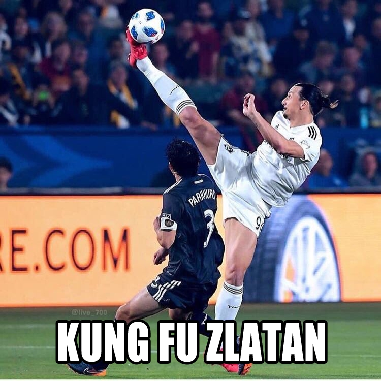 Po prostu KUNG FU ZLATAN